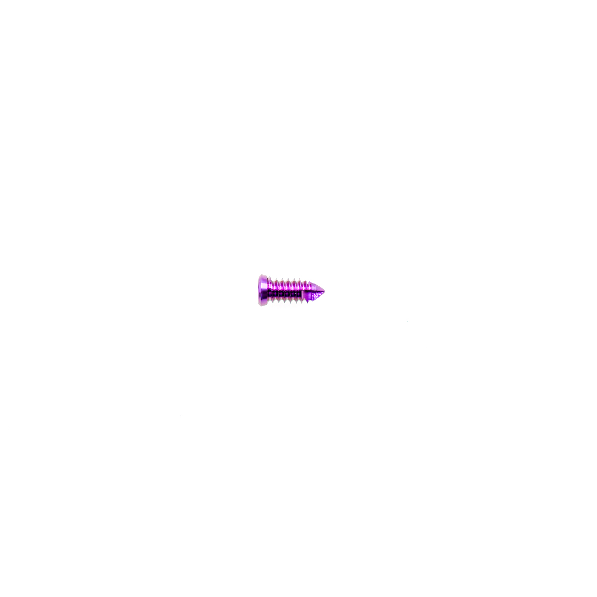 3.2mm Titanium Stem Locking Screw for Intramedullary Nail Fixation in Small to Medium Animals