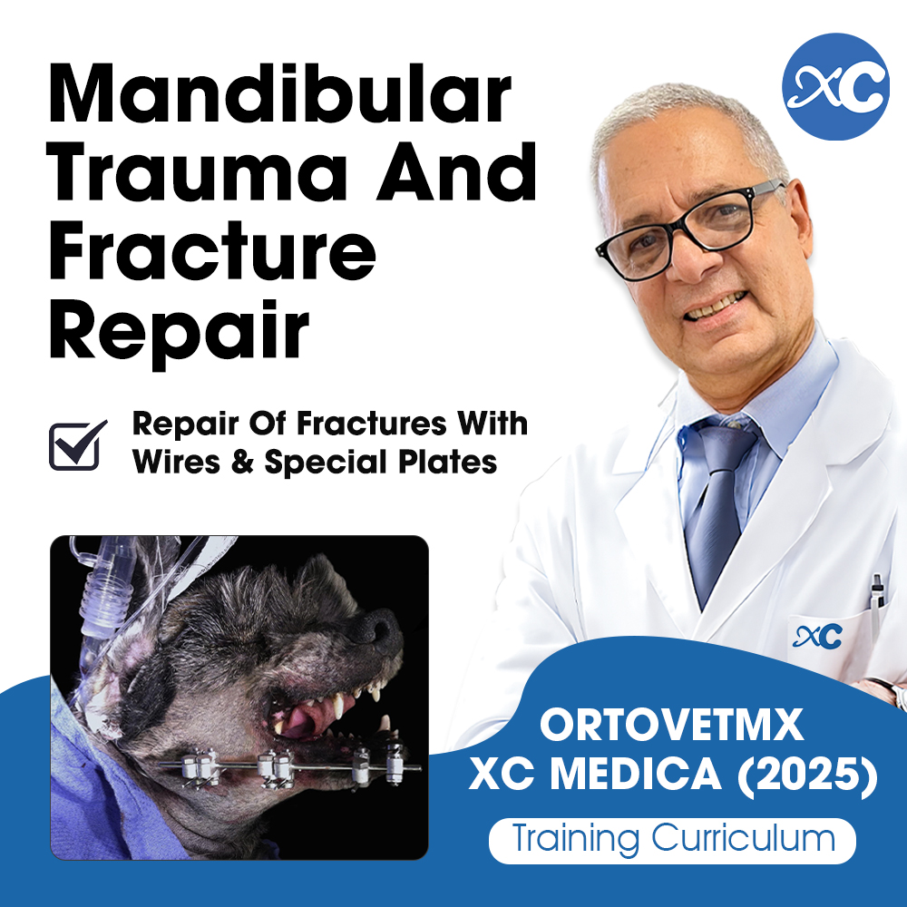 July Course | Mandibular Trauma and Fracture Repair: Techniques with Wires and Specialized Plates