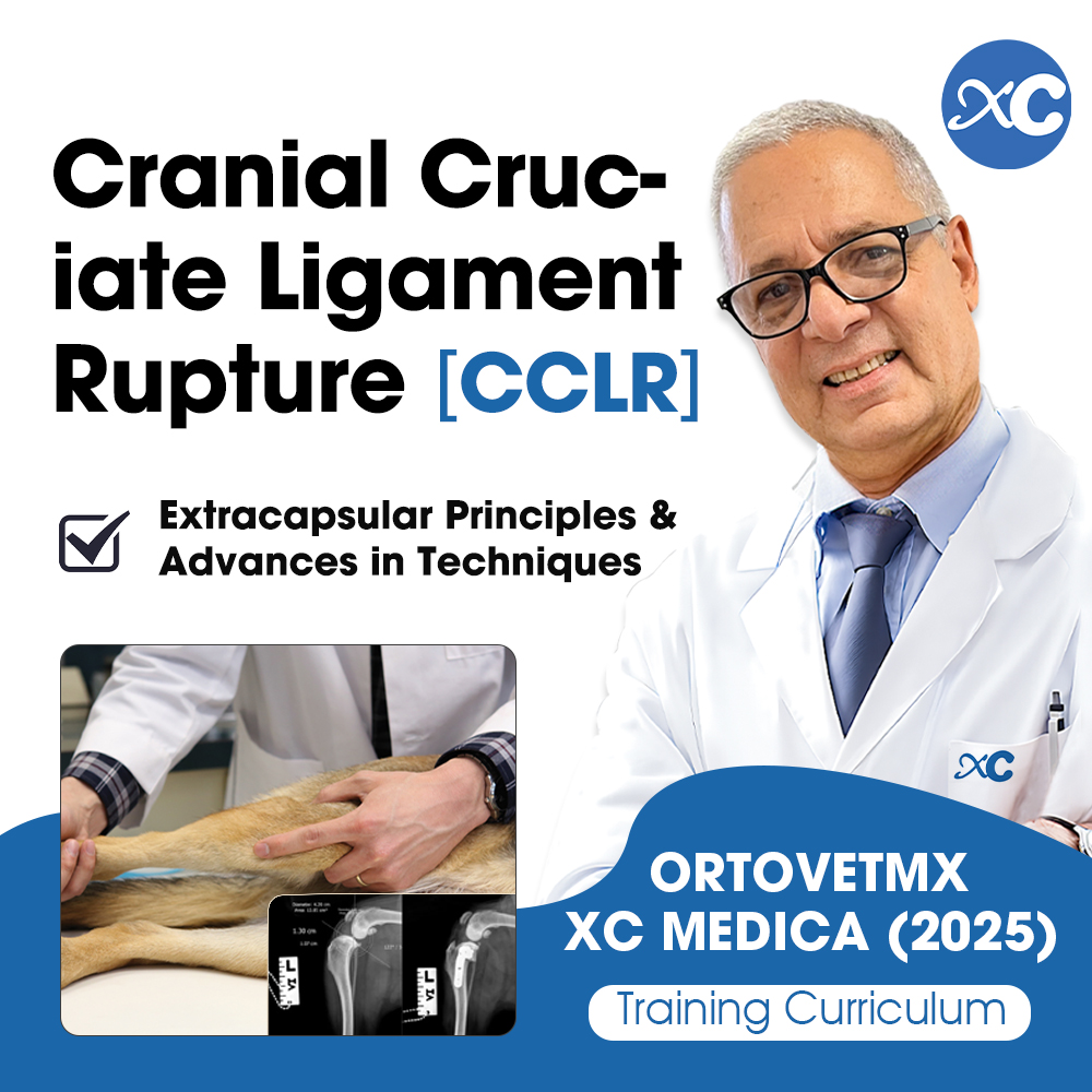 August Course | CCLR--Principles and Technological Advances in Extracapsular Repair Techniques
